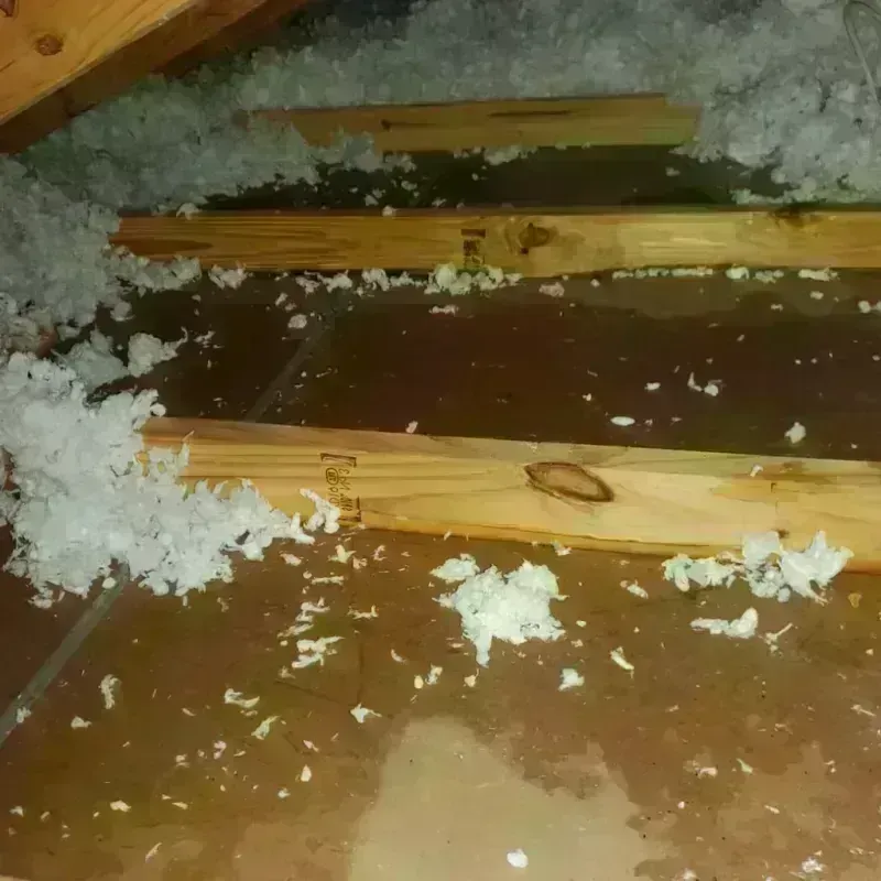 Attic Water Damage in South Gastonia, NC