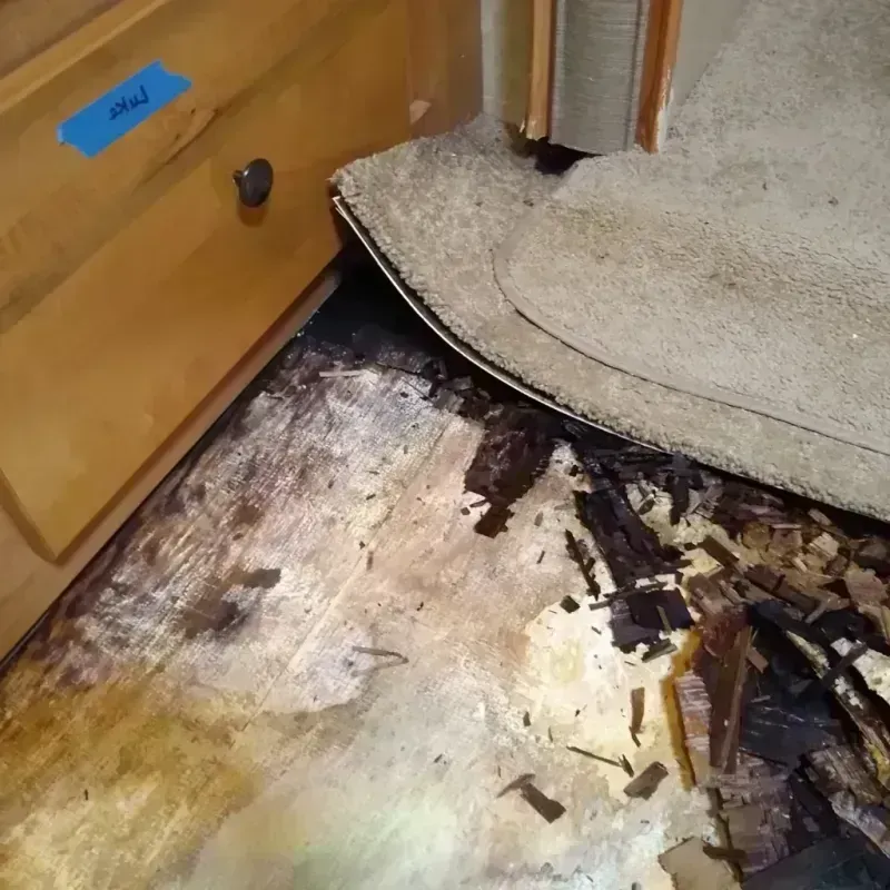 Best Wood Floor Water Damage Service in South Gastonia, NC